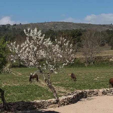 Quinta Do Rio Noémi Hotel *