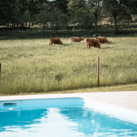 Quinta Do Rio Noemi غوآردا