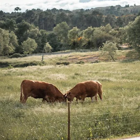 Quinta Do Rio Noemi *