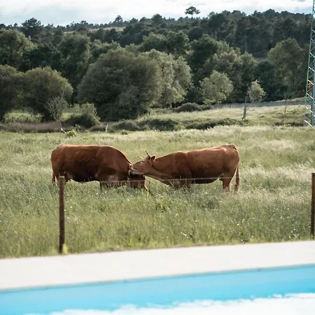 Quinta Do Rio Noémi * Guarda