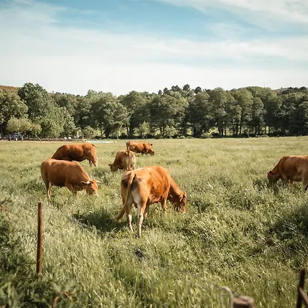 Quinta Do Rio Noemi Otel