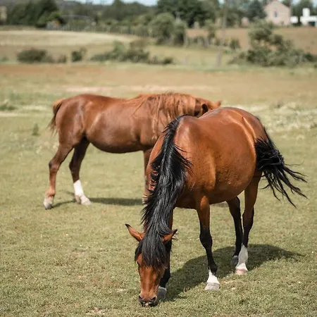 Quinta Do Rio Noemi غوآردا