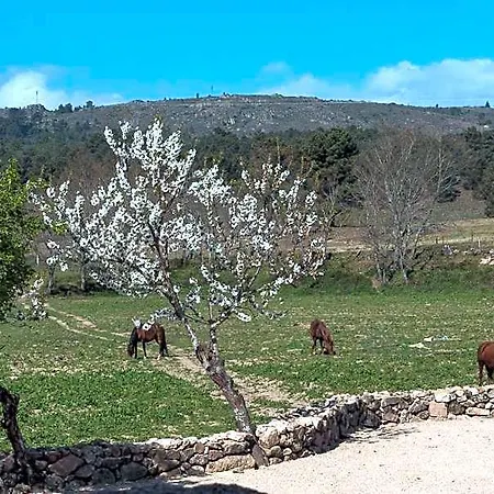 Quinta Do Rio Noemi Hotel *