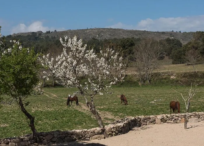 Quinta Do Rio Noemi فندق *