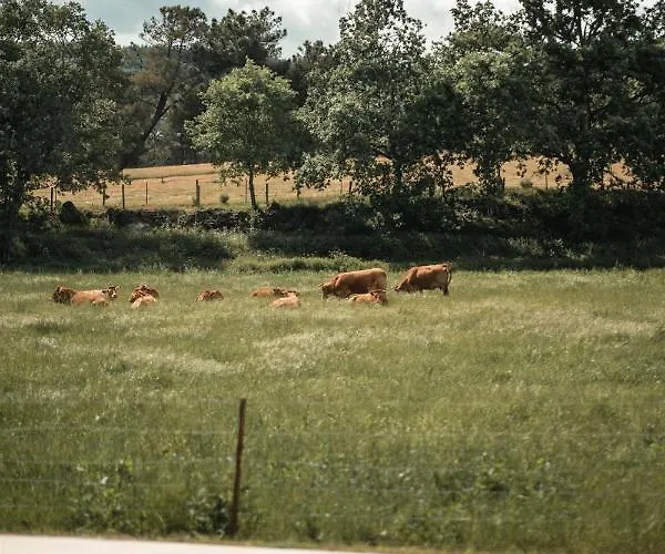 Quinta Do Rio Noemi Hotel