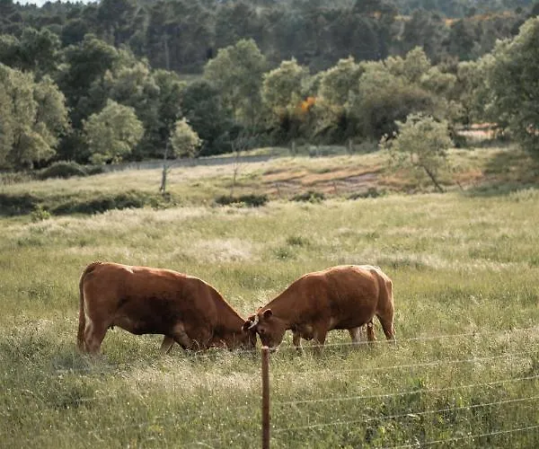 Quinta Do Rio Noemi *