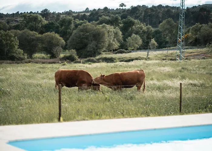 Quinta Do Rio Noemi * غوآردا