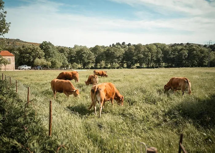 Quinta Do Rio Noemi מלון