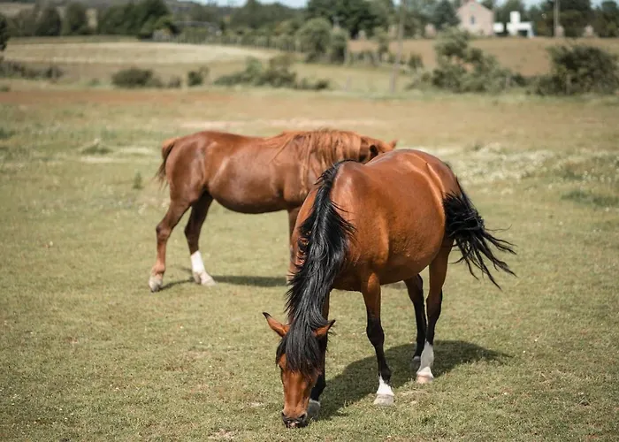 Quinta Do Rio Noemi غوآردا